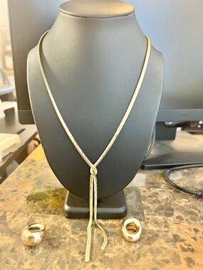 NWT Gold Chic Necklace